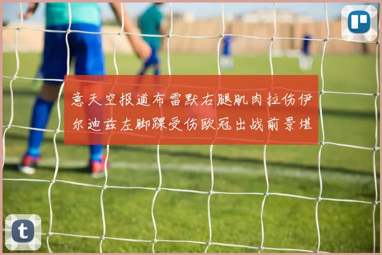 意天空报道布雷默右腿肌肉拉伤伊尔迪兹左脚踝受伤欧冠出战前景堪忧