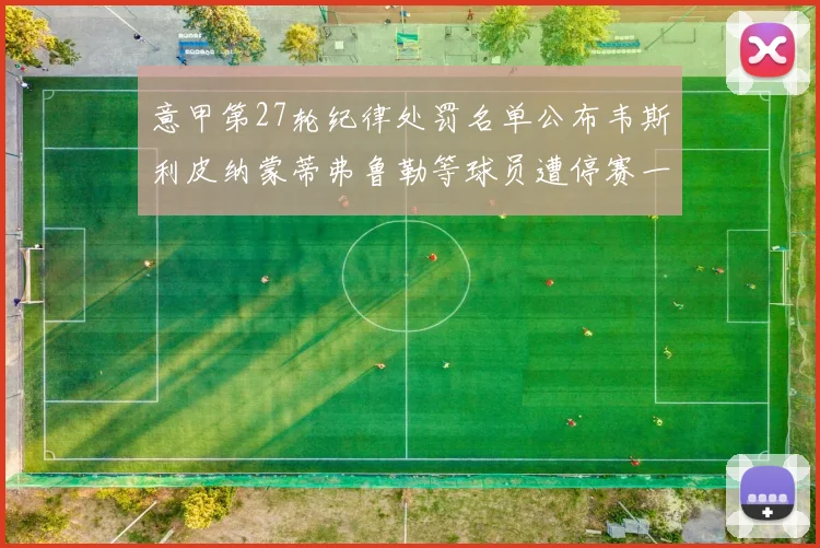 意甲第27轮纪律处罚名单公布韦斯利皮纳蒙蒂弗鲁勒等球员遭停赛一轮